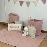 Bandeirinha Decorativa - Rosa & Vichy Verde